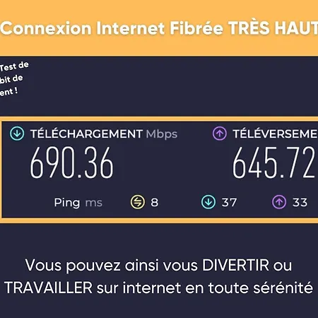 Le Soyeux - 100m De La Gare & Parking Prive Appartamento Roanne