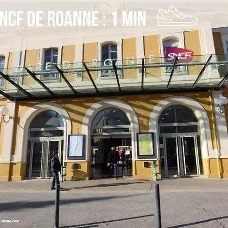Le Soyeux - 100m De La Gare & Parking Prive * Roanne