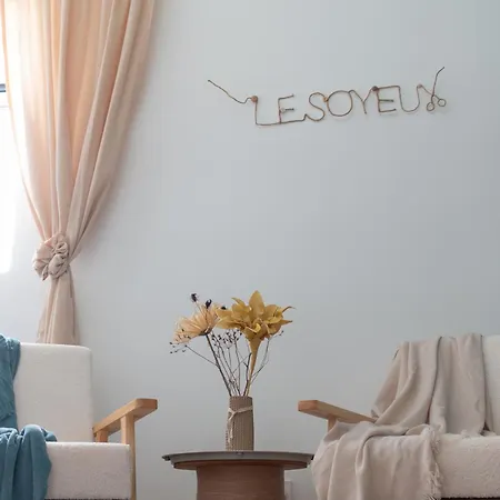 Le Soyeux - 100m De La Gare & Parking Prive Apartment *