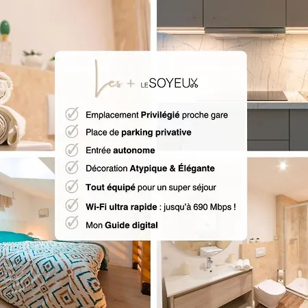 Le Soyeux - 100m De La Gare & Parking Prive