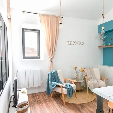 Le Soyeux - 100m De La Gare & Parking Prive * Roanne